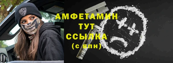 спиды Богородск