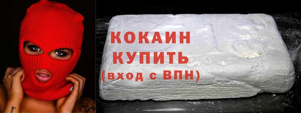 тгк Бородино