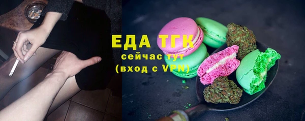 тгк Бородино