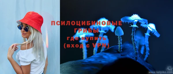 тгк Бородино
