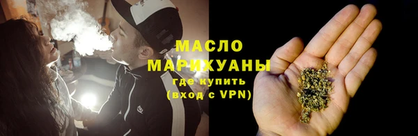 тгк Бородино
