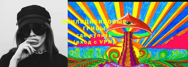 тгк Бородино