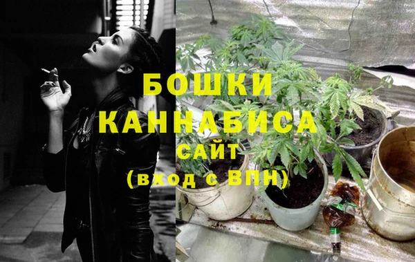 тгк Бородино