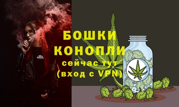 Альфа ПВП Бугульма