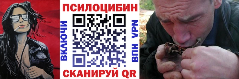 blacksprut ONION  Майкоп  Псилоцибиновые грибы прущие грибы 
